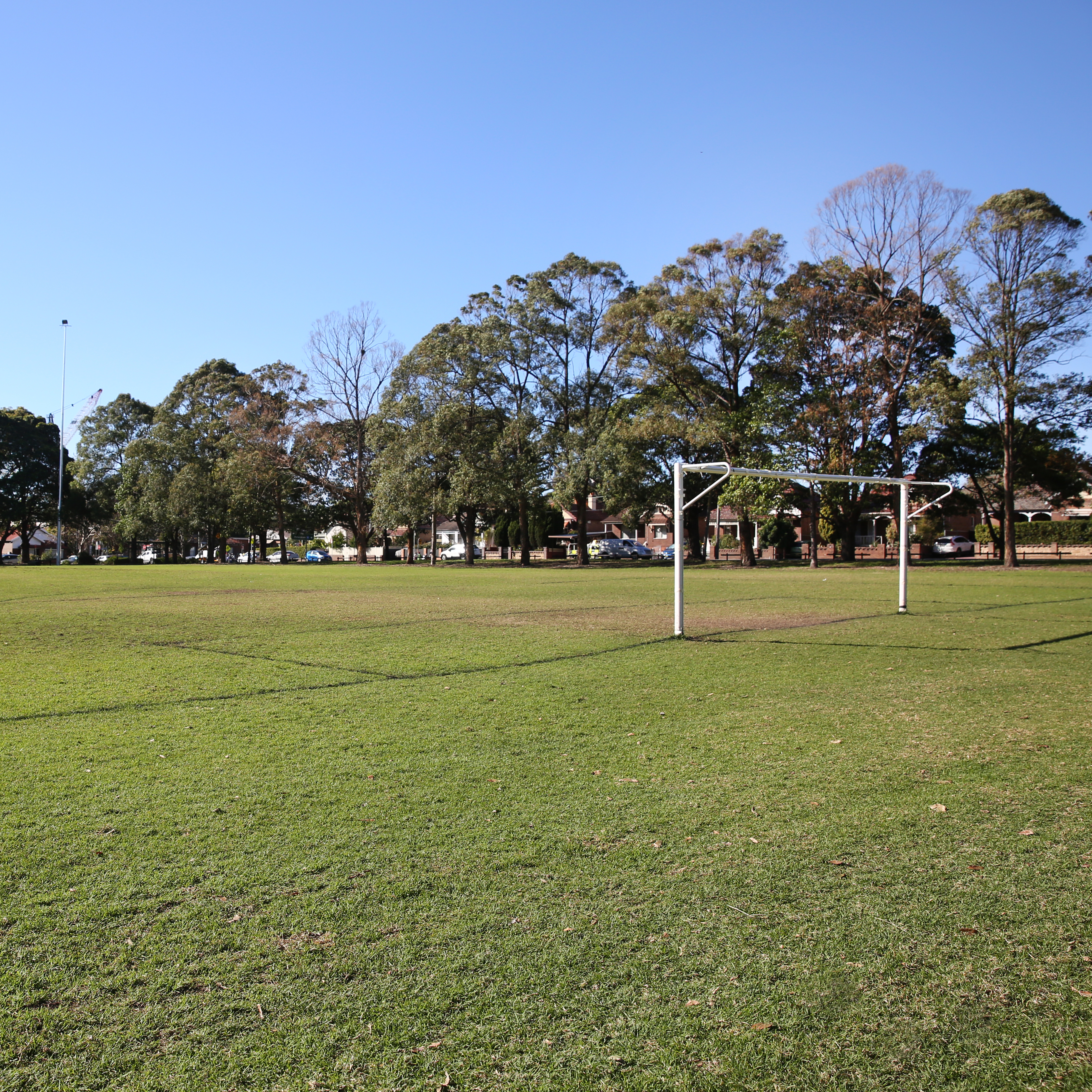 Hammond Park soccer pitch